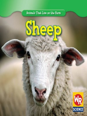 cover image of Sheep